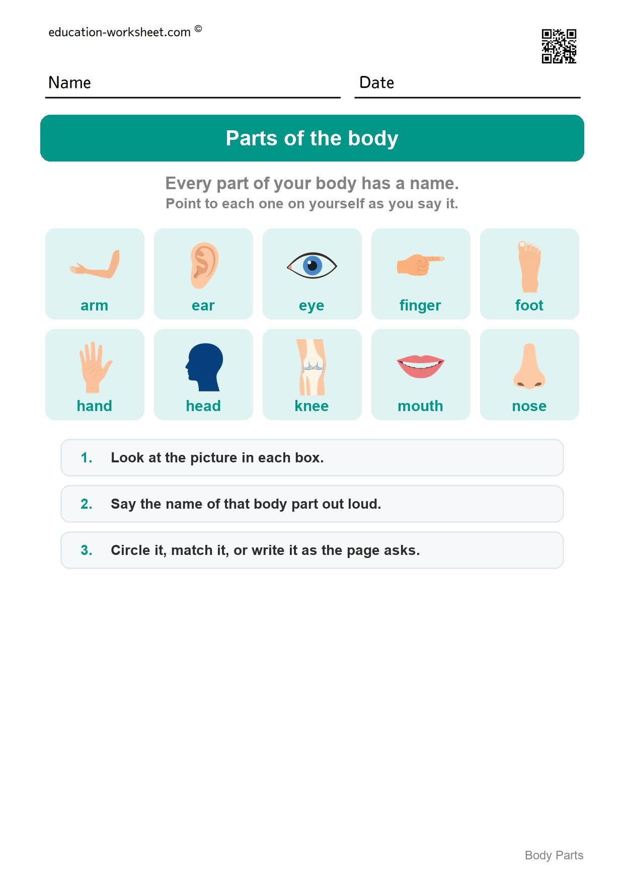 How to use this worksheet - Free Body Parts Worksheets for Kindergarten - Learn the Words
