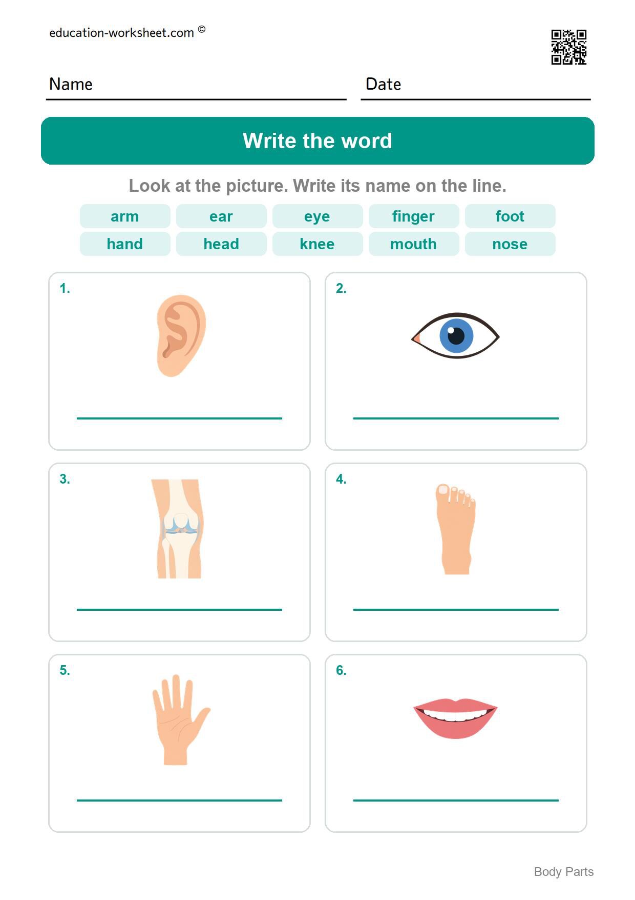 Write the word (Set 3) - Free Body Parts Worksheets for Kindergarten - Learn the Words