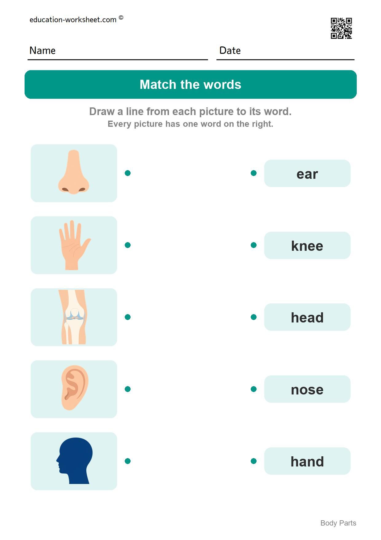 Match the words (Set 5) - Free Body Parts Worksheets for Kindergarten - Learn the Words