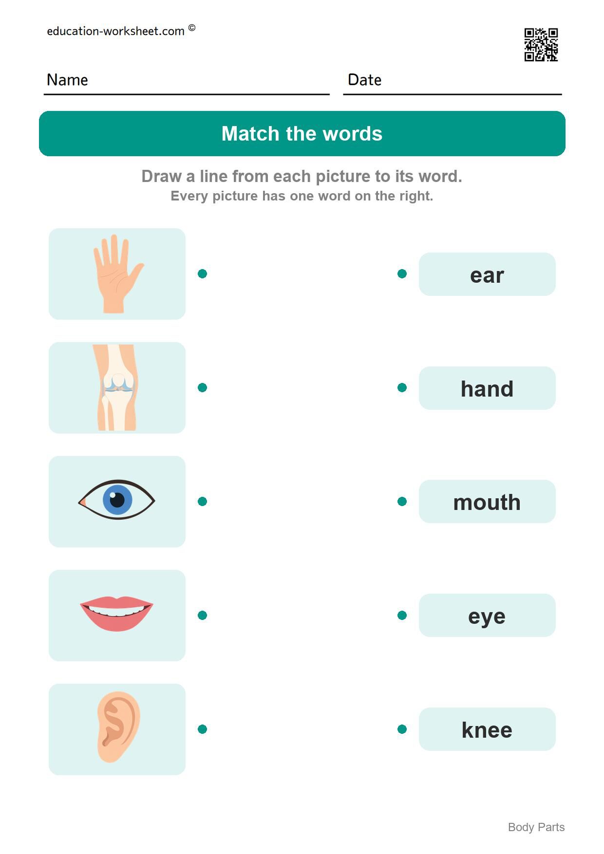 Match the words (Set 8) - Free Body Parts Worksheets for Kindergarten - Learn the Words