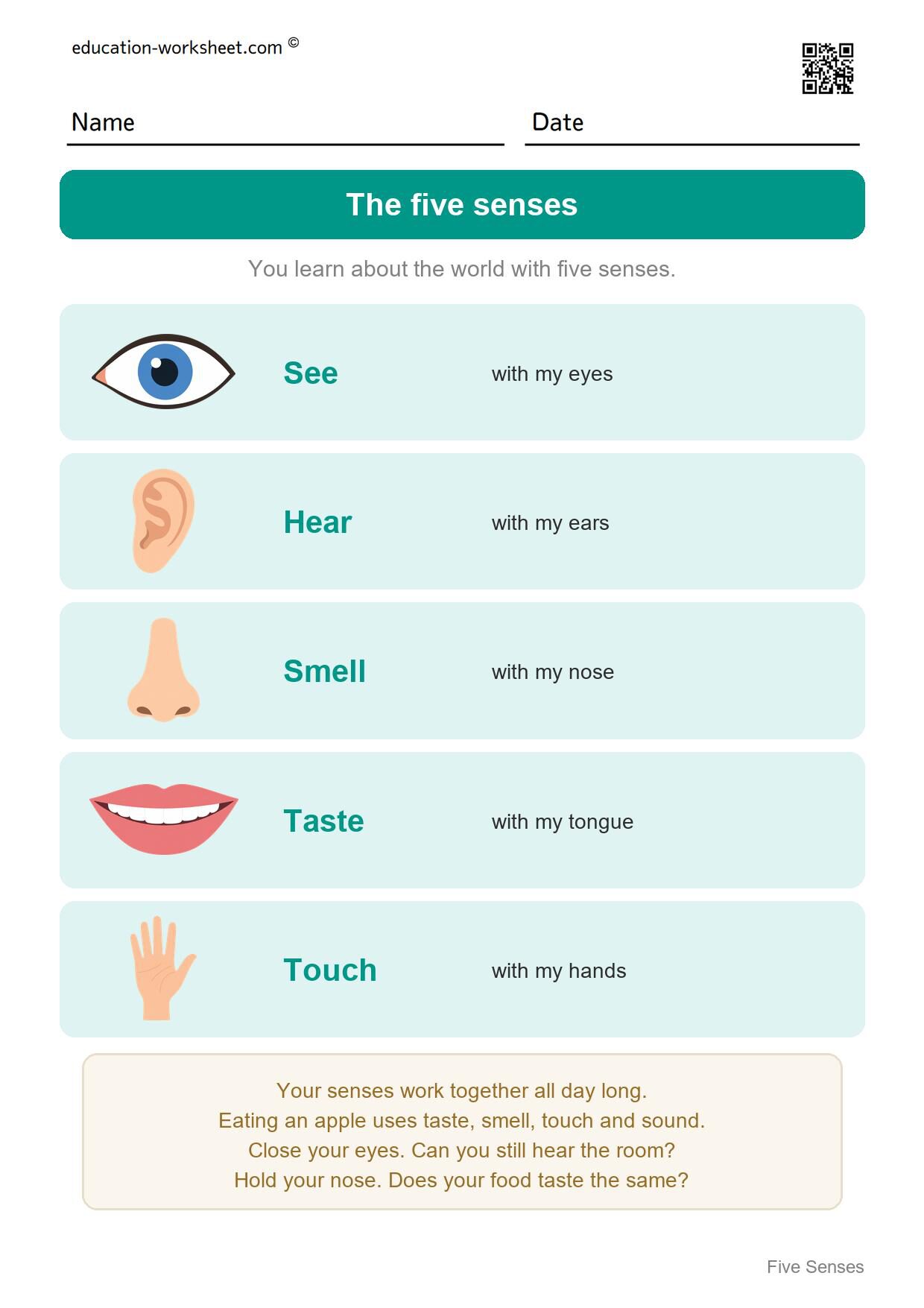The five senses (start here) - Free Five Senses Worksheets for Kindergarten - Science