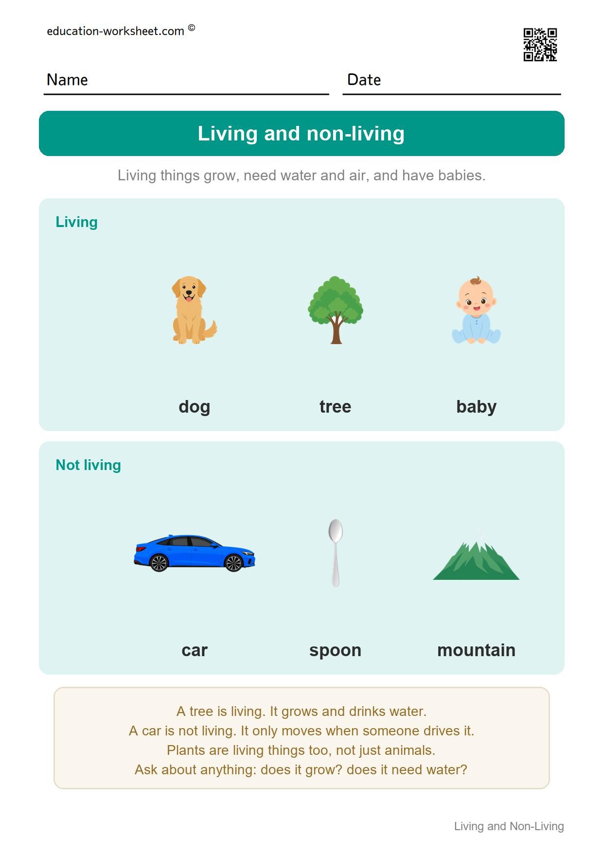 Living and non-living (start here) - Free Living and Non-Living Things Worksheets for Kindergarten