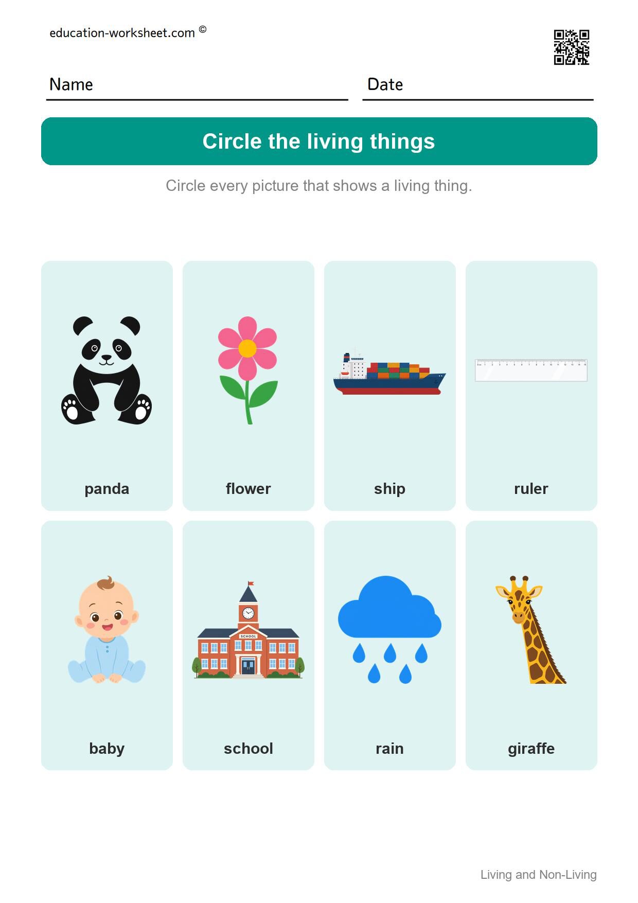 Circle the living things (Set 10) - Free Living and Non-Living Things Worksheets for Kindergarten