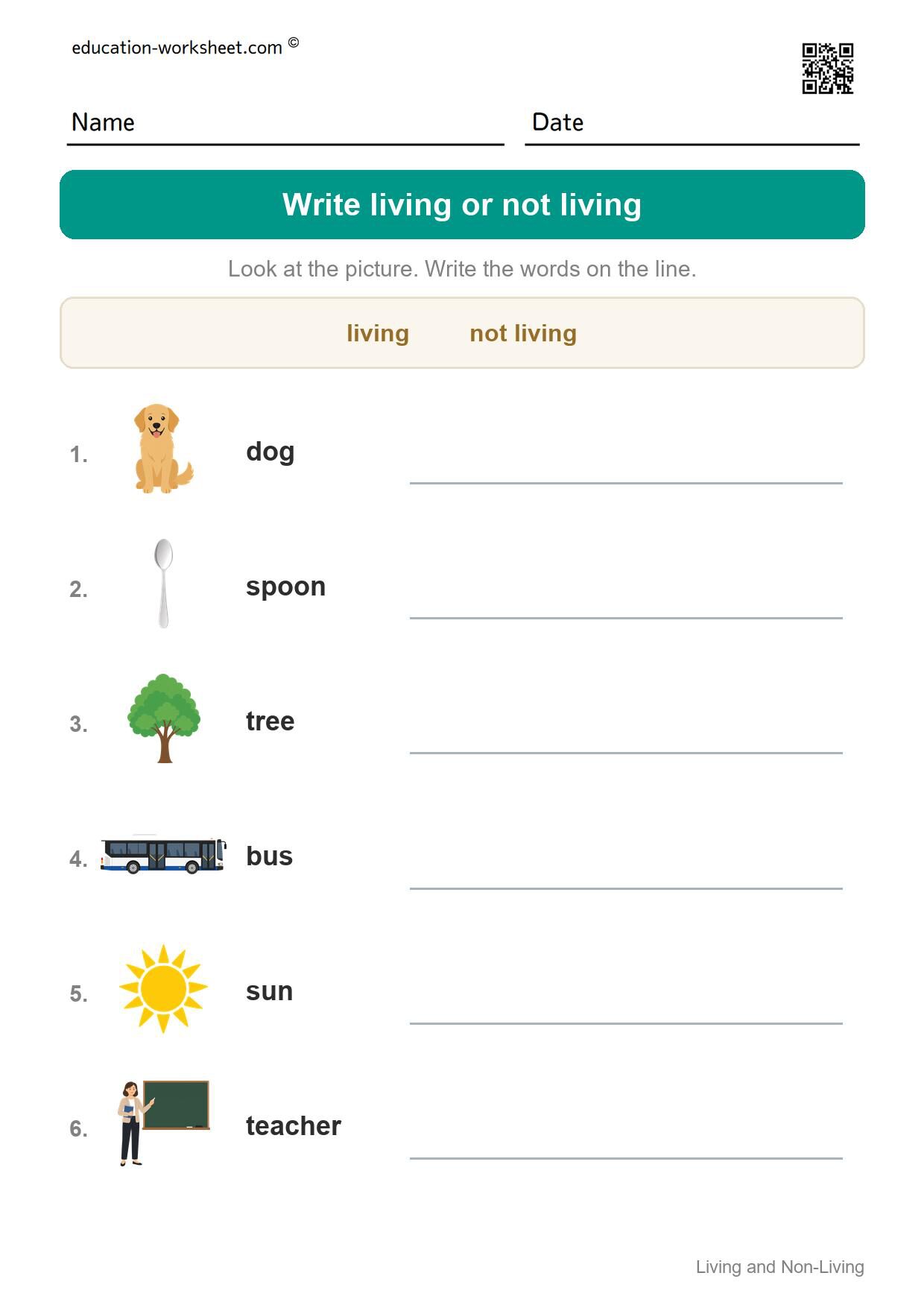 Write living or not living (Set 4) - Free Living and Non-Living Things Worksheets for Kindergarten