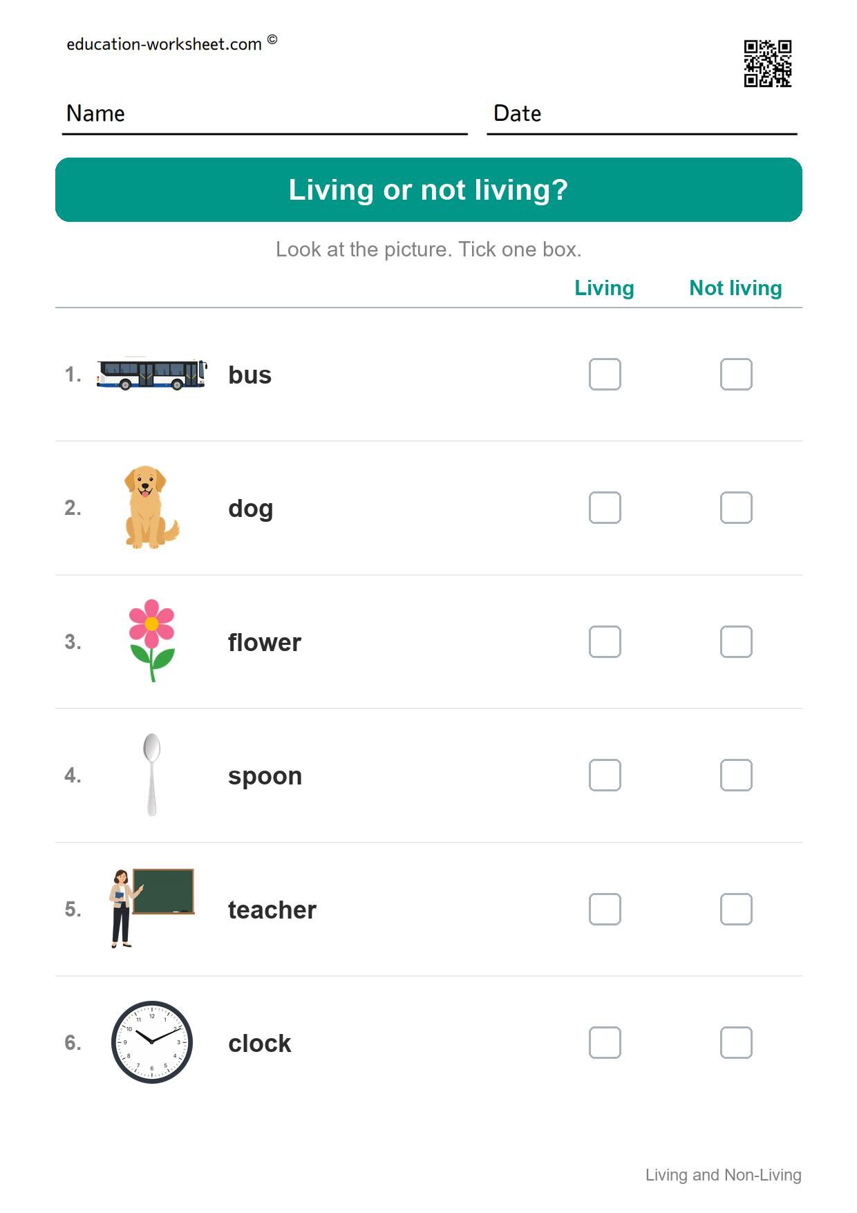 Living or not living? (Set 5) - Free Living and Non-Living Things Worksheets for Kindergarten