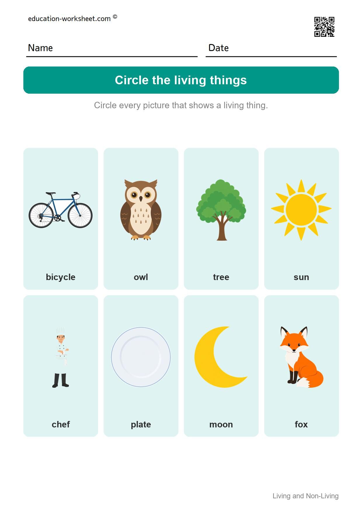 Circle the living things (Set 6) - Free Living and Non-Living Things Worksheets for Kindergarten