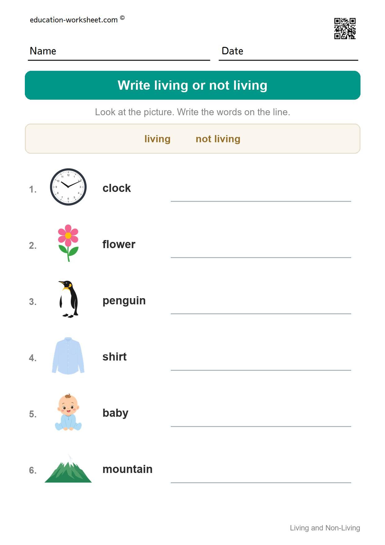 Write living or not living (Set 8) - Free Living and Non-Living Things Worksheets for Kindergarten