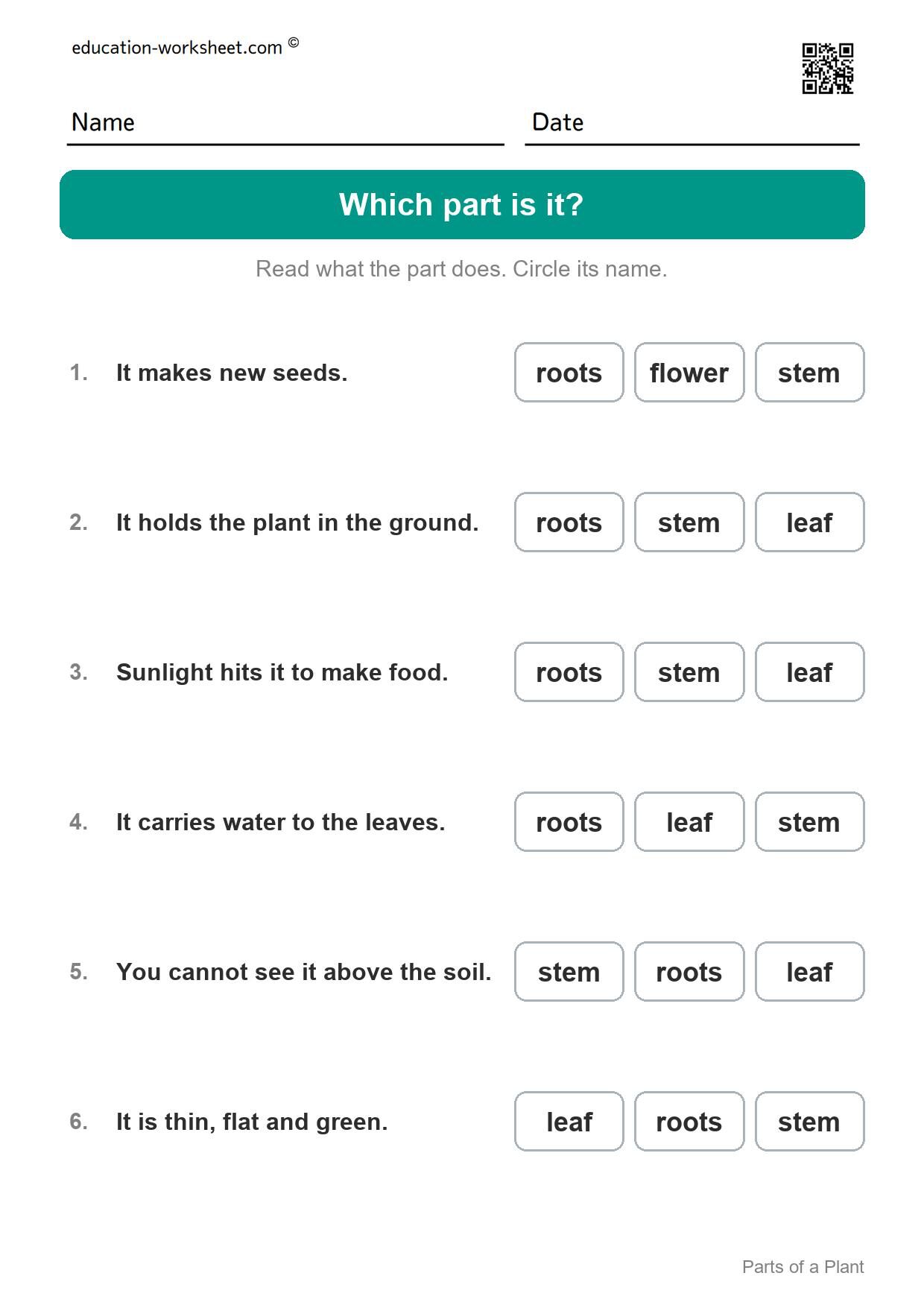 Which part is it? (Set 10) - Free Parts of a Plant Worksheets for Kindergarten - Science