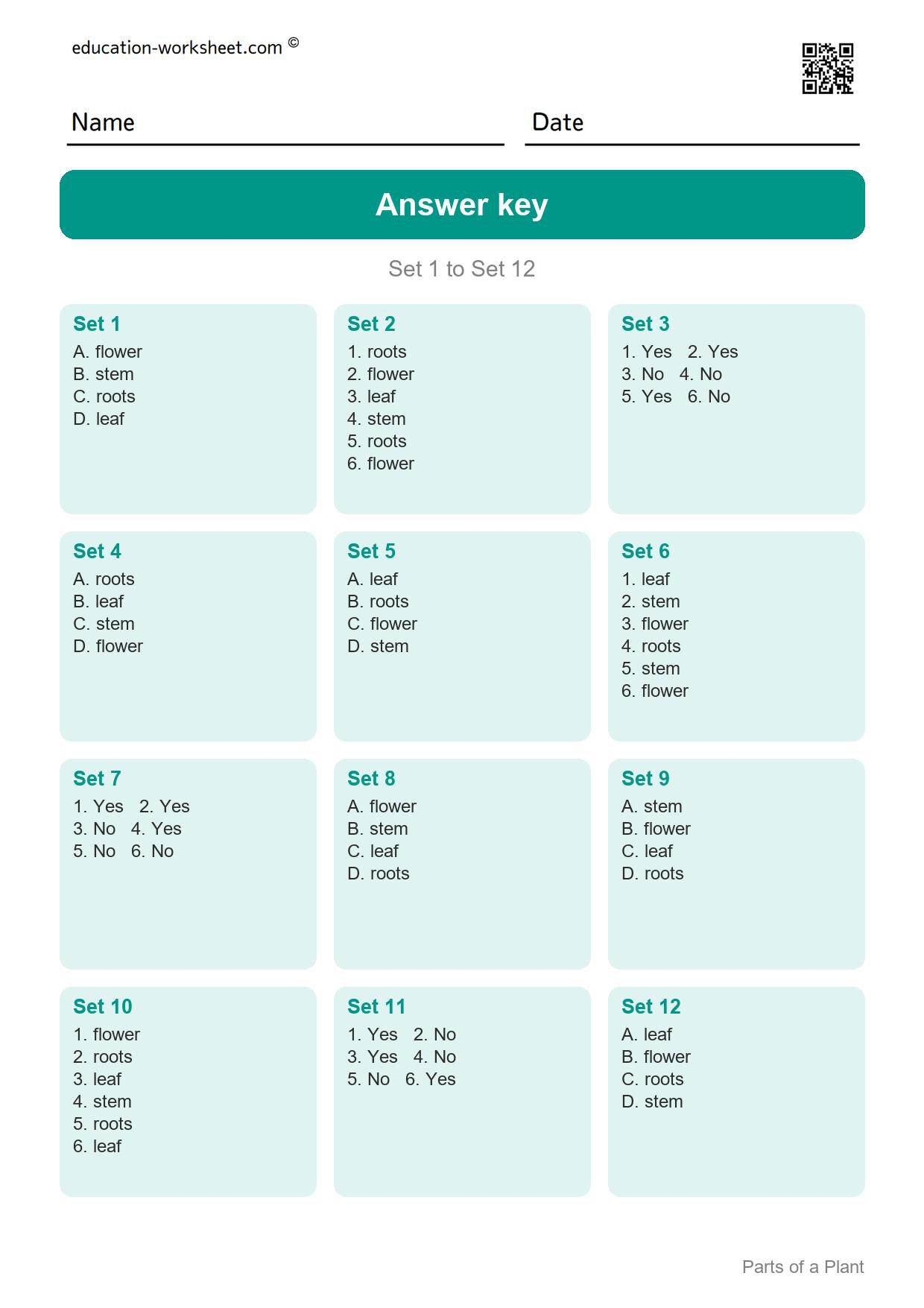 Answer key - Free Parts of a Plant Worksheets for Kindergarten - Science