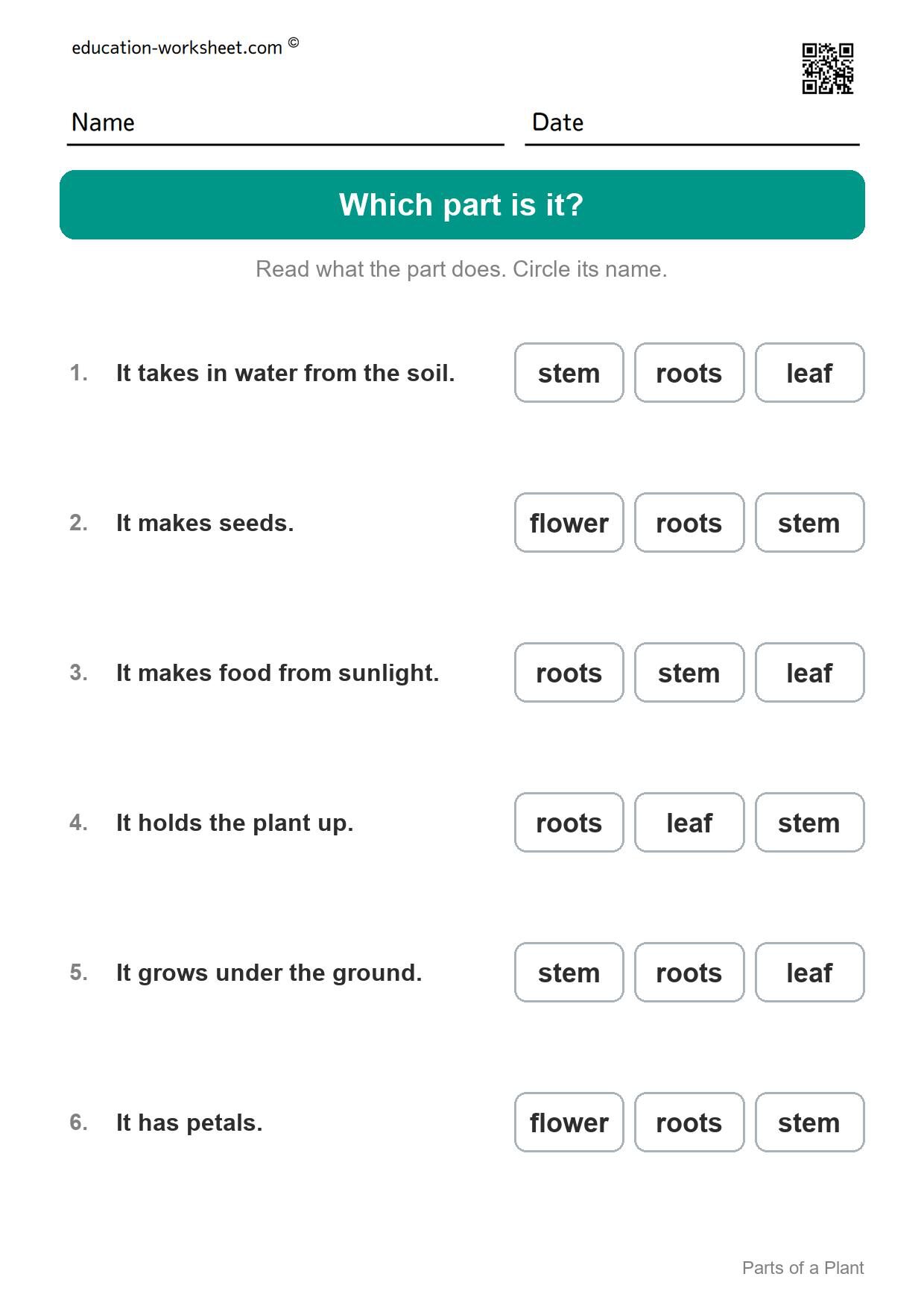 Which part is it? (Set 2) - Free Parts of a Plant Worksheets for Kindergarten - Science