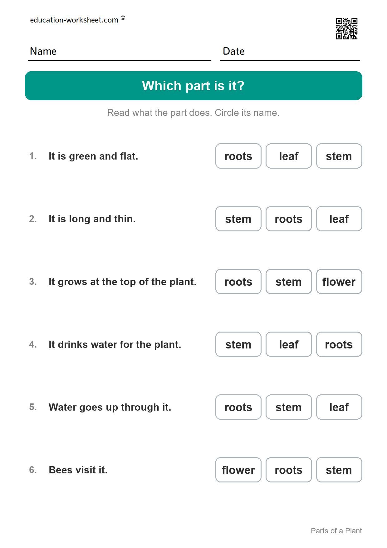 Which part is it? (Set 6) - Free Parts of a Plant Worksheets for Kindergarten - Science